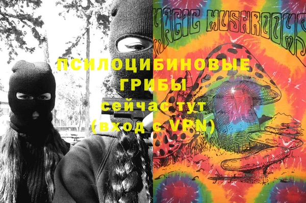 PSILOCYBIN Протвино