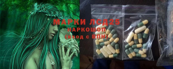 PSILOCYBIN Протвино