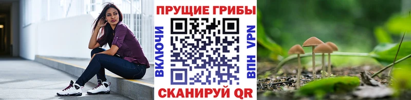 Псилоцибиновые грибы Psilocybe  Купить где  Отрадная 